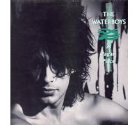 Waterboys - A Pagan Place