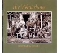 Waterboys/Fishermans Blues