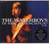 Waterboys - Is She Conscious