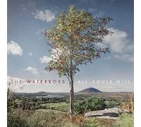 Waterboys,the - All Souls Hill [Vinilo]