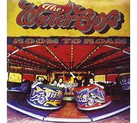 Waterboys,the - Room to Roam [Vinilo]