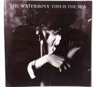 Waterboys - This is the sea (1985)