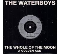 Waterboys - WATERBOYS The Whole of the Moon 7" 45