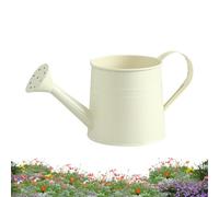 Watering Can | 1L Iron with Handle Aesthetic - Space-Saving Garden Watering Can,for Greenhouse Farmhouse Outdoor Yard Lawn Patio Landscape Flower Bonsai