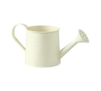 Watering Can,1L Iron with Handle Long Spout Sprayer | Metal Watering Can Flower Pots - for Home Decor Garden Yard Lawn Patio Pathway Outdoor Bonsai Flower Landscape