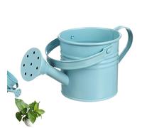 Watering Can - Galvanized Iron Plant Watering Can, Decorative Scene Ornament and Flower Container with Handle for Backyard, Patio, Lawn, Garden, Family and Friends Outdoor Display