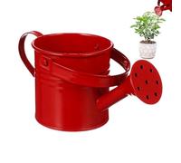 Watering Can - Galvanized Iron Plants Watering Can | Scene Ornament, Flower Container With Handle For Backyard Patio Lawn Family Friends
