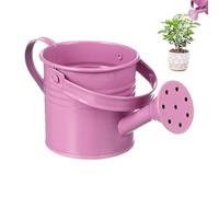 Watering Can, Galvanized Iron Plants Watering Can with Ergonomic Handle, Decorative Flower Container and Scene Ornament for Backyard Patio Lawn Garden Use with Family and Friends