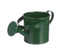 Watering Can, Galvanized Iron Vintage Plant Water Pitcher, Decorative Flower Container with Handle, Leakproof Garden Watering Tool for Patio, Lawn, Backyard, Balcony, Home, Family, Friends