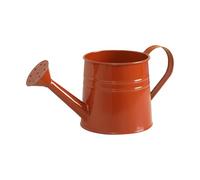 Watering Can Indoor - 1L Iron with Handle Aesthetic | Space-Saving Garden Watering Can | for Greenhouse Farmhouse Outdoor Yard Lawn Patio Landscape Flower Bonsai