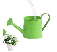 Watering Can Indoor Plants, 1L Iron with Handle Long Spout Sprayer, Metal Watering Can Flower Pots, for Home Decor Garden Yard Lawn Patio Pathway Outdoor Bonsai Flower Landscape