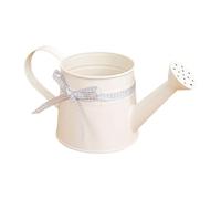 Watering Can Indoor Plants | 1L Metal Decorative Pot | Watering Cans for House Plant Garden Flower | Long Spout Water Can for Garden Flower Home Office Balcony Ģarden Outdoor Bonsai Flowers