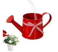 Watering Can Indoor Plants | 1L Metal Decorative Pot | Watering Cans for House Plant Garden Flower | Long Spout Water Can for Garden Flower Home Office Balcony Ģarden Outdoor Bonsai Flowers