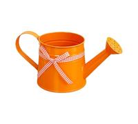 Watering Can Indoor Plants | 1L Metal Decorative Pot | Watering Cans for House Plant Garden Flower | Long Spout Water Can for Garden Flower Home Office Balcony Ģarden Outdoor Bonsai Flowers