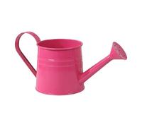 Watering Can Indoor Plants, Plant Waterings Can | 1L Long Spout Gardening Tools | Metal Watering Cans Flower Pots For Home Decor Garden Yard Lawn Patio Pathway Outdoor Bonsai Flower Landscapes