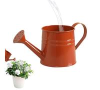 Watering Can Indoor Plants, Plant Waterings Can | 1L Long Spout Gardening Tools | Metal Watering Cans Flower Pots For Home Decor Garden Yard Lawn Patio Pathway Outdoor Bonsai Flower Landscapes