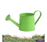 Watering Can Indoor Plants, Plant Waterings Can | 1L Long Spout Gardening Tools | Metal Watering Cans Flower Pots For Home Decor Garden Yard Lawn Patio Pathway Outdoor Bonsai Flower Landscapes