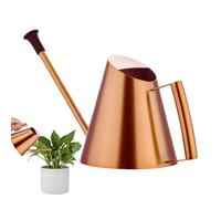 Watering Can Indoor Plants, Watering canStainless Steel Watering Can