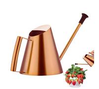 Watering Can Indoor, Stainless Steel Watering, Plant Water Can, Golden Plant Waterer with Precise and Controlled Design for Houseplants, Bonsai, and Garden Flowers, 1 Piece