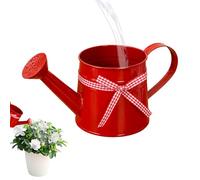 Watering Can, Outdoor Waterings Jug For Houseplants, Small Waterings Can | 1L Metal Decorative Pot | Modern Plant Watering Cans | For Home Office Balcony Garden Outdoor Indoor Bonsai Flowers