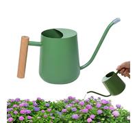 Watering Can - Stainless Steel 1L, Indoor Plant Tool, Long Spout Can | Modern Gardening Accessory For Home, Office, Balcony, Indoor, Outdoor, Garden, Bonsai, Plant Care, Precise Watering