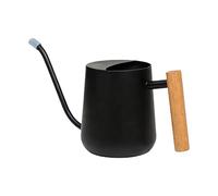 Watering Can - Stainless Steel 1L, Indoor Plant Tool, Long Spout Can | Modern Gardening Accessory For Home, Office, Balcony, Indoor, Outdoor, Garden, Bonsai, Plant Care, Precise Watering