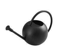 Watering Kettle, Flower Watering Can, Stainless Steel Watering Kettle, Sturdy Plant Watering Kettle, Indoor House Plants, Succulent Watering Can, Small Watering Can for Bonsai