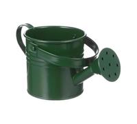 Watering Pot - Galvanized Iron Watering Can with Comfortable Grip