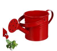 Watering Pot - Galvanized Iron Watering Can with Comfortable Grip