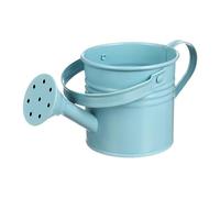 Watering Pot - Galvanized Iron Watering Can with Comfortable Grip