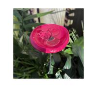 Watering Station Butterfly Puddler Hummingbird Drinking Cups Pollinator Waterer Outdoor Garden with Marbles