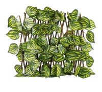 Watermelon Leaves Expandable Retractable Plastic Simulation Trellis Hedge Fence Screening Roll Expanding Fence(2 UK,70)