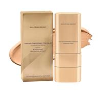 Waterproof Foundation Stick, Hydrating Cream Concealer, 15g Long Lasting Makeup Base with Coverage, Natural Blend Cosmetic Tool, Modern Beauty Design Style, Cosmetic for Women Face Wedding Dating