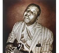 Waters Muddy - Blues Master Works (2lp+CD) [Vinilo]