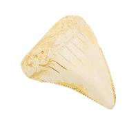 WATIIFUFU Diente de Tiburón Fosilizado Megalodón Realista de Resina, Tamaño Portátil y Decoración Duradera para Manualidades y Decoración Temática Marina