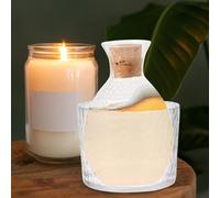 WATIIFUFU Juego de Sake Japonés Botella de Vidrio Transparente Martillado Jarra de Sake Tapón de Madera y Cubitera Set Práctico Reuniones y Celebraciones