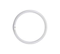 WatioWave FLUORESCENTE CIRCULAR 40W 4000K