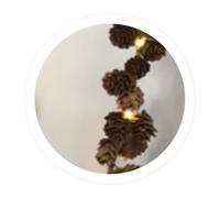 WatioWave Guirnalda de piñas LED a pila 1m, luz decorativa, fácil instalación, ideal para ambientar fiestas y eventos.