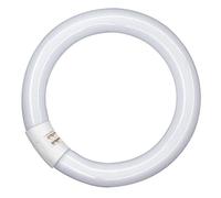 WatioWave Lámpara Fluorescente Circular 22W 4000K, alta nergética, larga duración; ideal para iluminación de espacios comerciales y oficinas.