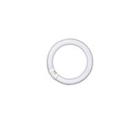 WatioWave Luz fluorescente circular 32W 2700K, eficiente y de largo alcance, ideal para iluminación general y creación de ambientes cálidos.