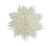 Watt & Veke Estrella de Adviento Maja Ø50 cm White