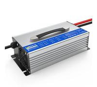 Wattcycle LiFePO4 - Cargador de batería (12 V, 60 A, carcasa de aluminio)