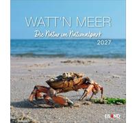 Watt'n Meer Postkartenkalender 2027 - Die Natur im Nationalpark: Der Nationalpark Wattenmeer in einem Fotokalender im Postkartenformat. Kleiner ... Aufstellen oder Aufhängen mit 12 Postkarten.
