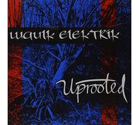 Waulk Elektrik - Uprooted