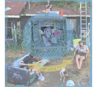 Wavers - Look What I Found [Vinilo]