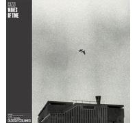 Waves of Time [Vinilo]
