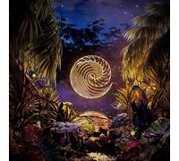 Waves Rush In - Under The Static [Vinilo]