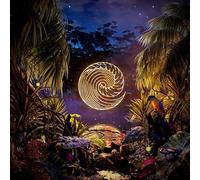 Waves Rush In - Under The Static [Vinilo]