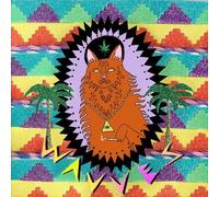 Wavves - King Of The Beach by Wavves (2010) Audio CD