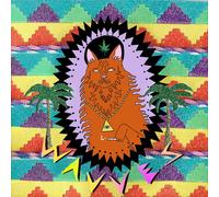 Wavves – King of the Beach – Vinilo (Importación USA) – Sony Music